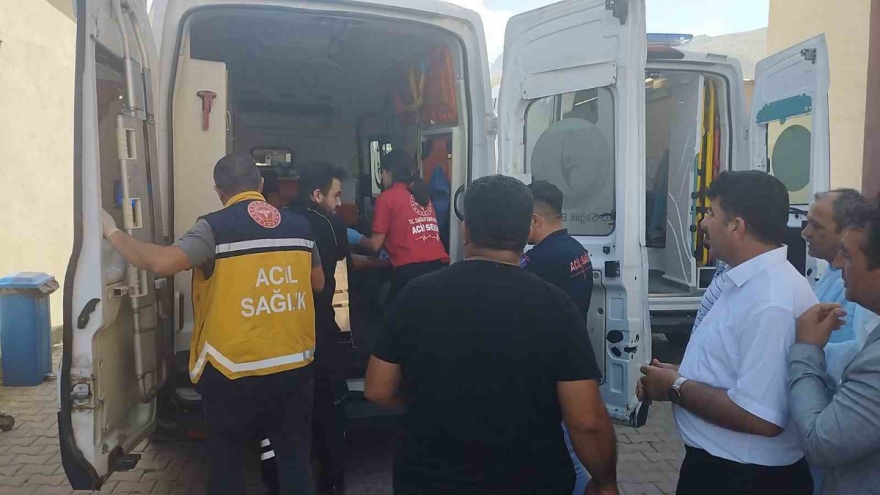 Cilo buzullarında kaybolan 2 kişinin cansız bedeni morga alındı