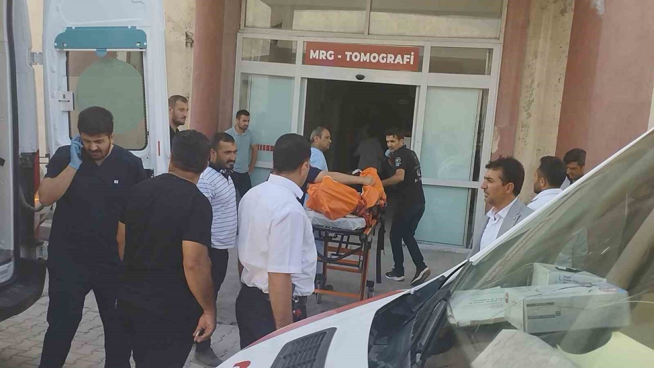 Cilo buzullarında kaybolan 2 kişinin cansız bedeni morga alındı