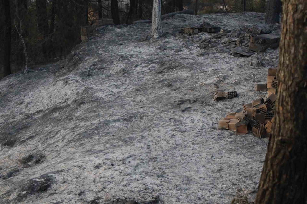 Hatay Belen’deki orman yangınında soğutma çalışmaları sürüyor
