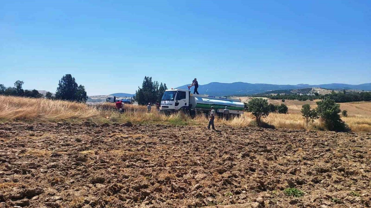 Hisarcık’ta biçerdöverden çıkan yangında 7 dekar hububat ekili arazi zarar gördü