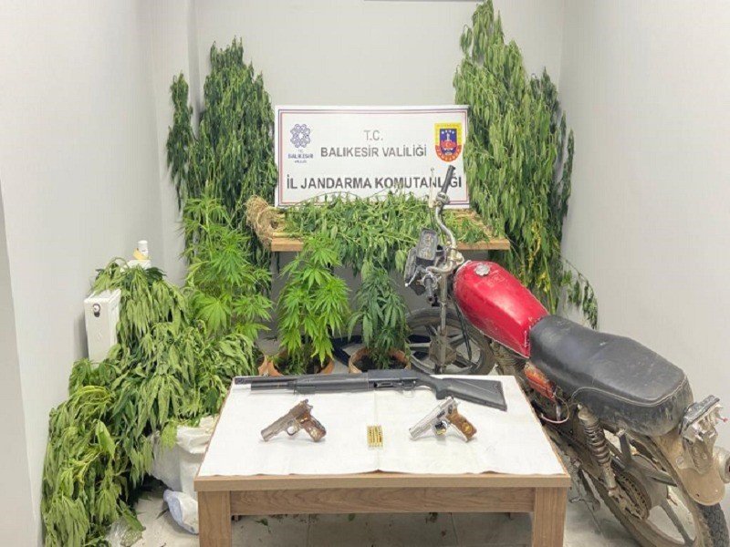 Balıkesir’de jandarmadan 59 şahsa uyuşturucu operasyonu