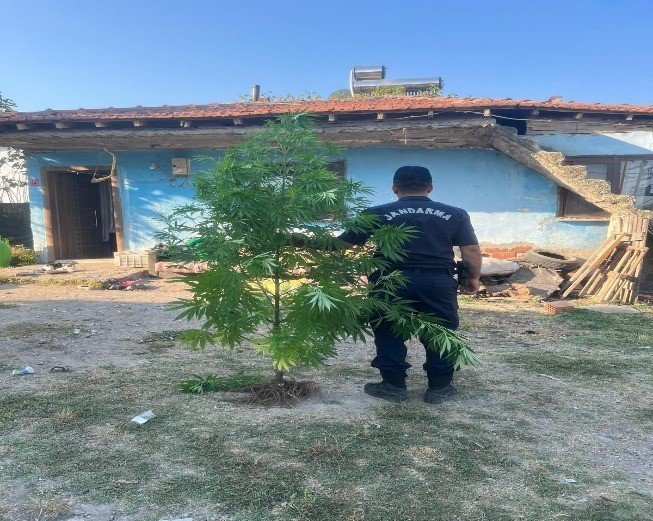 Balıkesir’de jandarmadan 59 şahsa uyuşturucu operasyonu