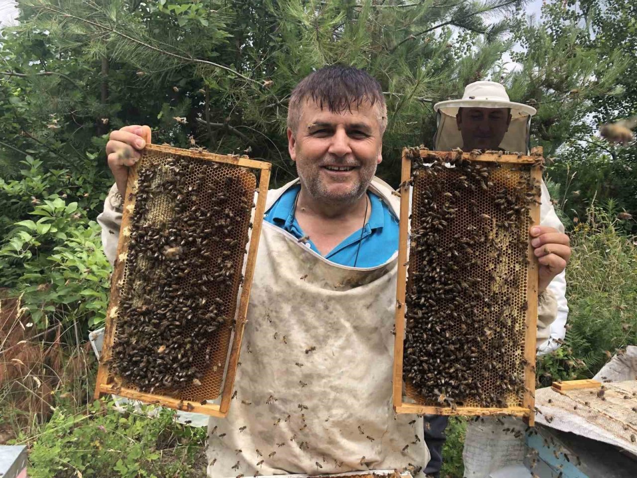 Binlerce arı telef oldu, gerçek güvenlik kamerası görüntülerinde ortaya çıktı
