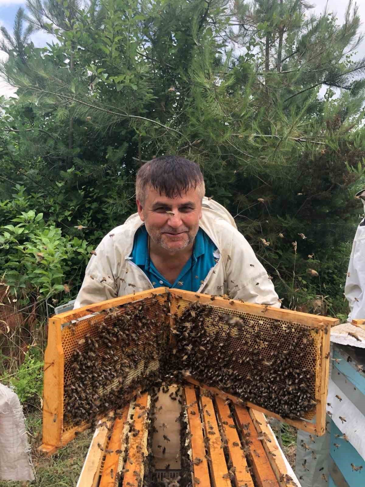 Binlerce arı telef oldu, gerçek güvenlik kamerası görüntülerinde ortaya çıktı