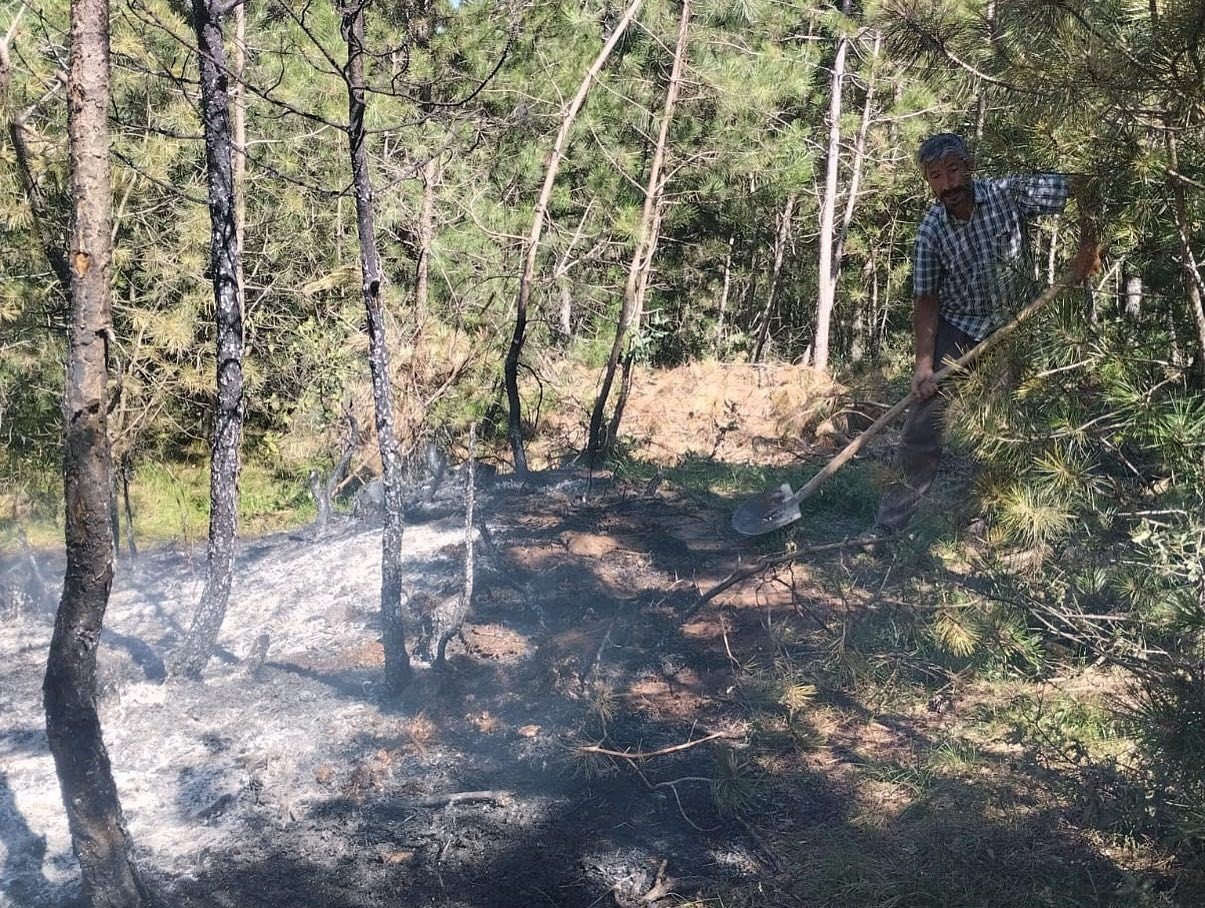 Taşköprü ve Tosya’da çıkan orman yangınları büyümeden söndürüldü