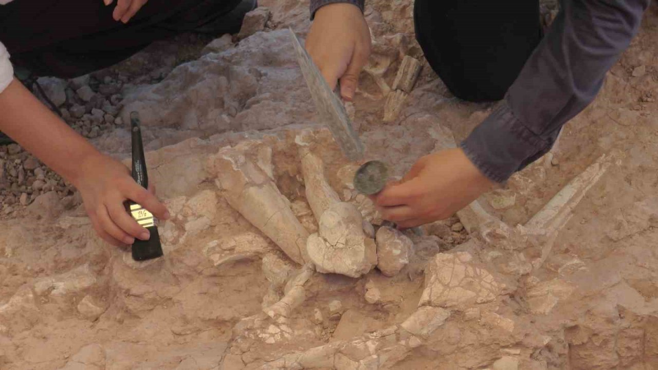 7,5 milyon yıllık kazılarda insan arayışı devam ediyor