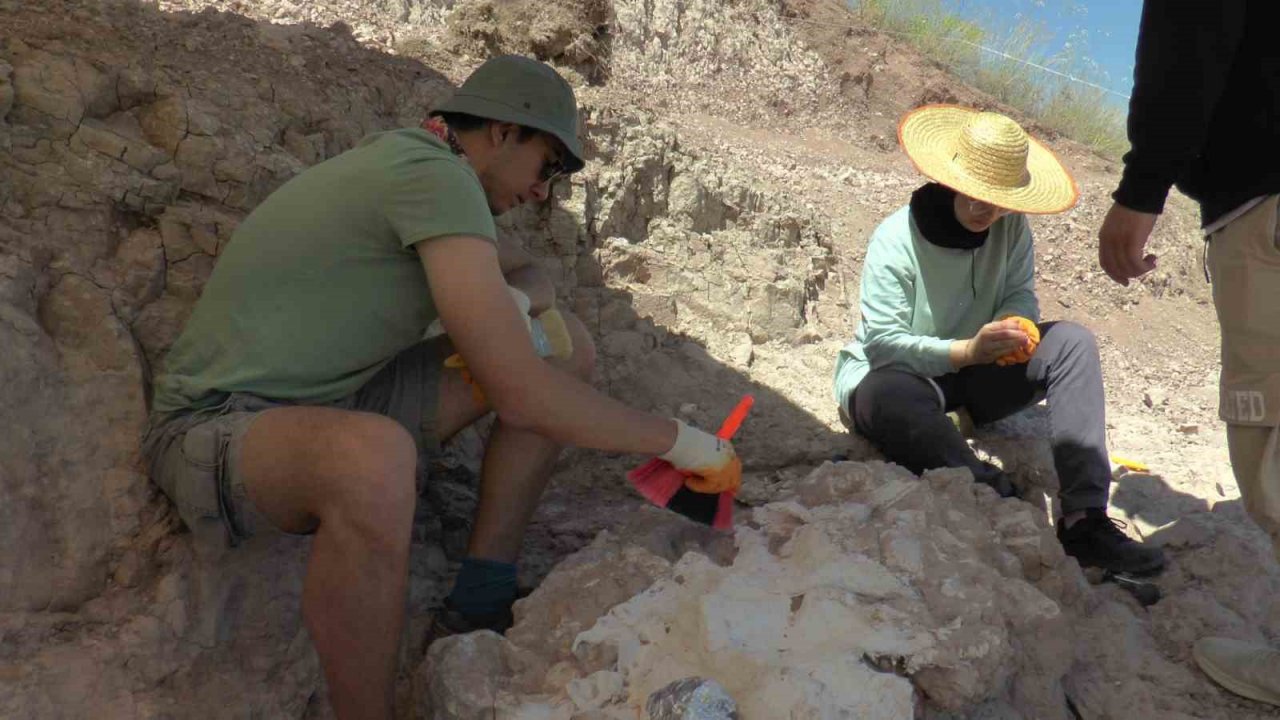7,5 milyon yıllık kazılarda insan arayışı devam ediyor