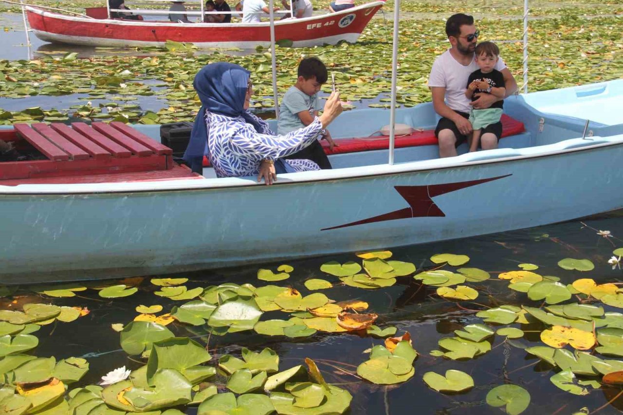 Konya’da milli parktaki nilüfer çiçeği bahçesi ziyaretçilerini hayran bırakıyor