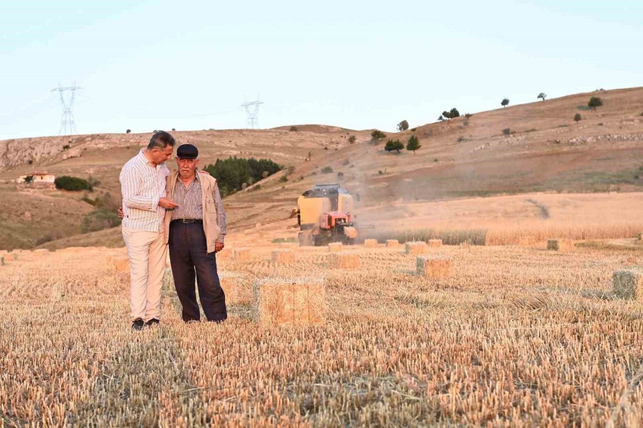 Mamak’ta yapılan hasat çiftçiyi mutlu etti