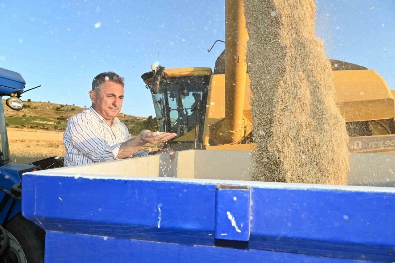 Mamak’ta yapılan hasat çiftçiyi mutlu etti