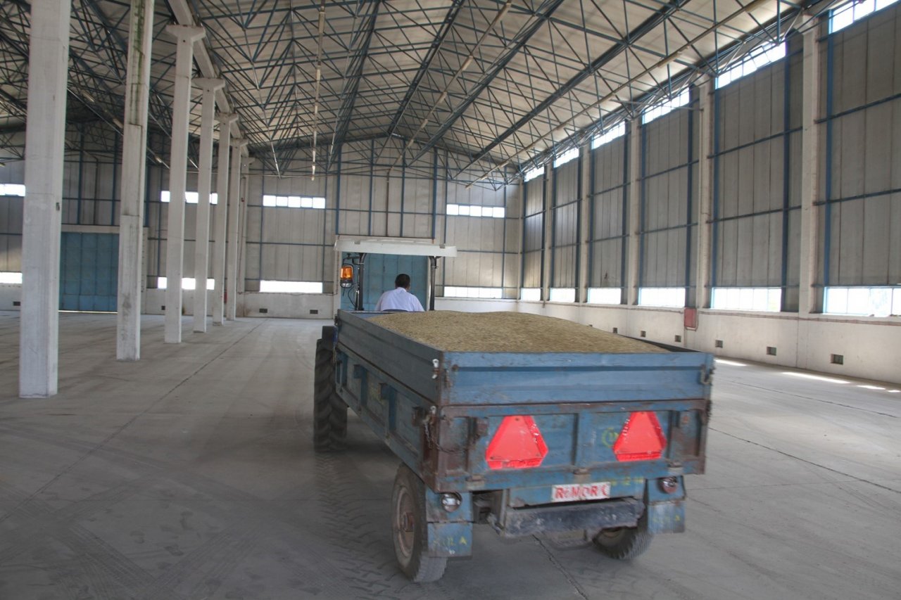 TMO Kula’da hububat alımına başladı