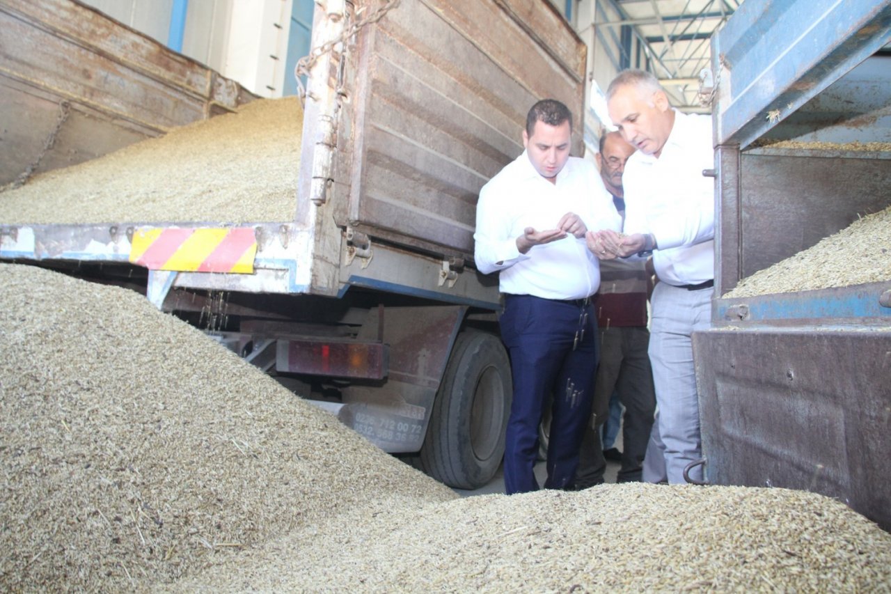 TMO Kula’da hububat alımına başladı