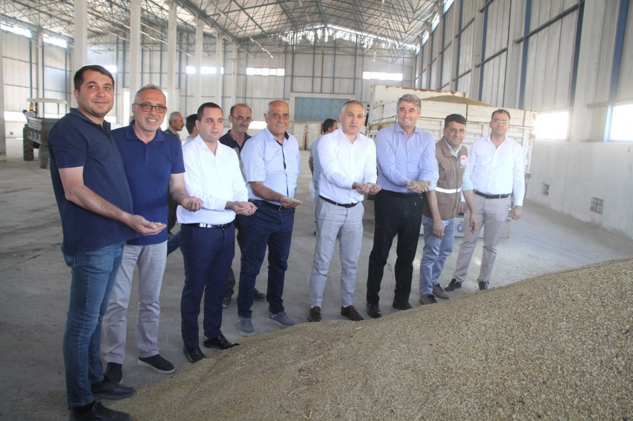 TMO Kula’da hububat alımına başladı