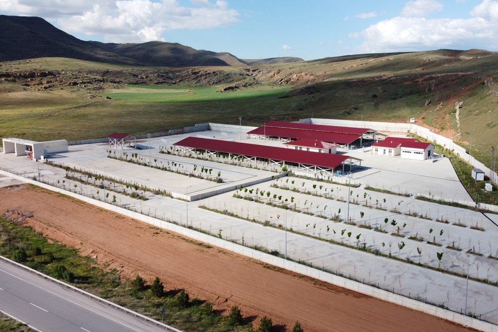 Canlı Hayvan Pazarı ve Ot Borsası, Sivas hayvancılığına kazandırıldı