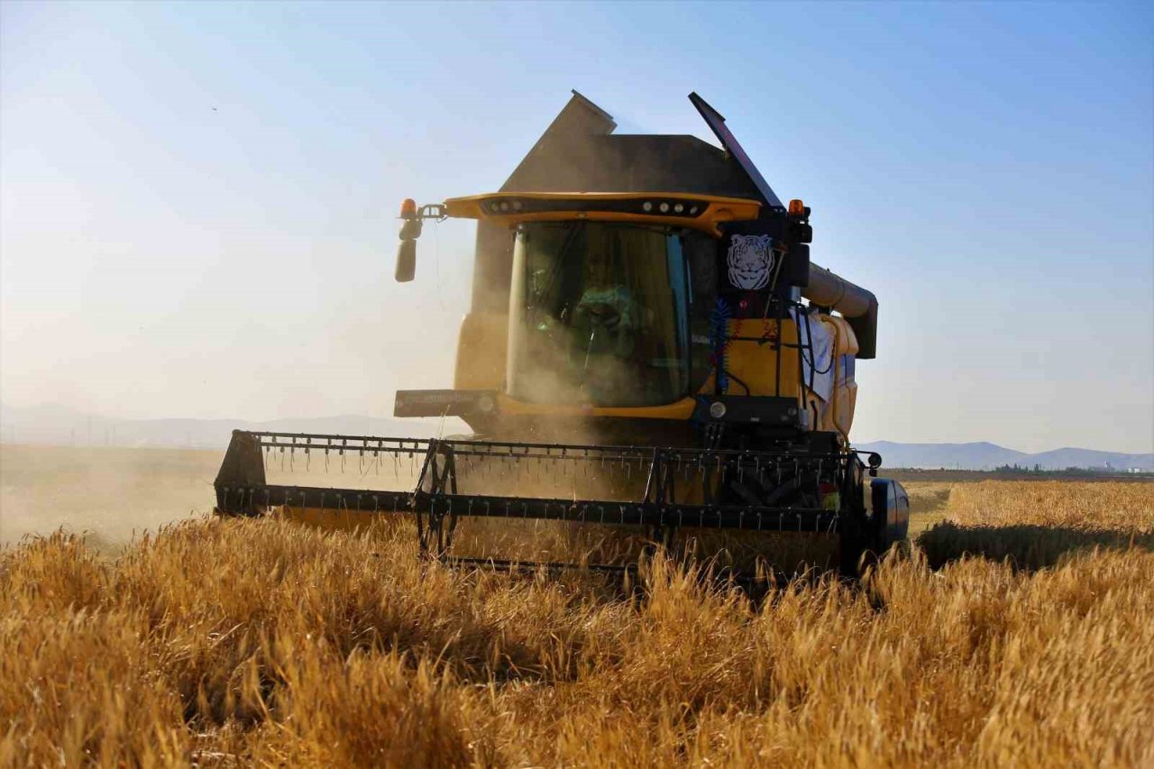 Tahıl ambarında 2 milyon 400 bin ton buğday rekoltesi beklentisi