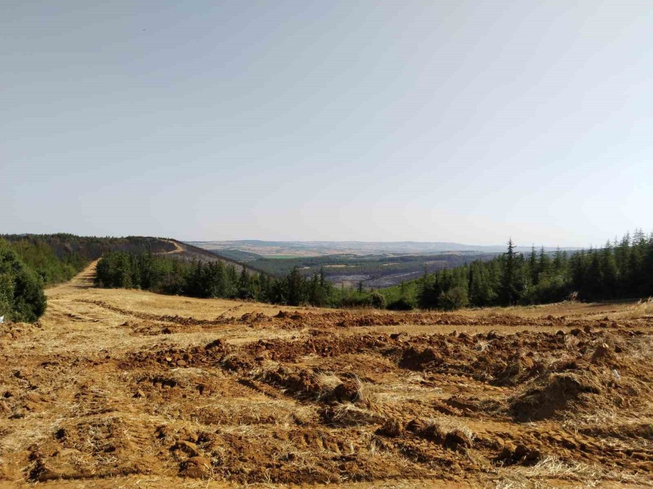 Tekirdağ’daki orman yangını balya makinasındaki kıvılcımla çıkmış