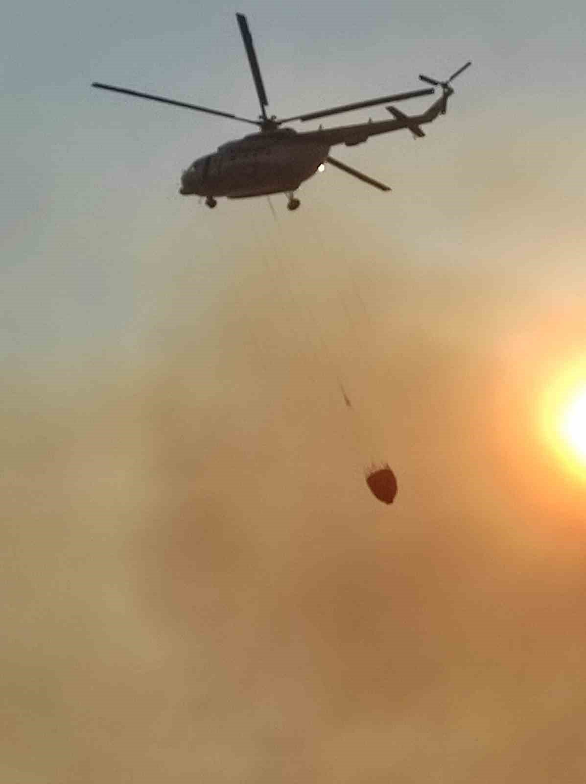 Tekirdağ’daki orman yangını balya makinasındaki kıvılcımla çıkmış