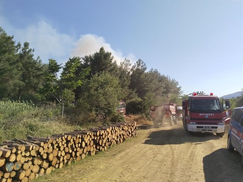 Tekirdağ’daki orman yangını balya makinasındaki kıvılcımla çıkmış