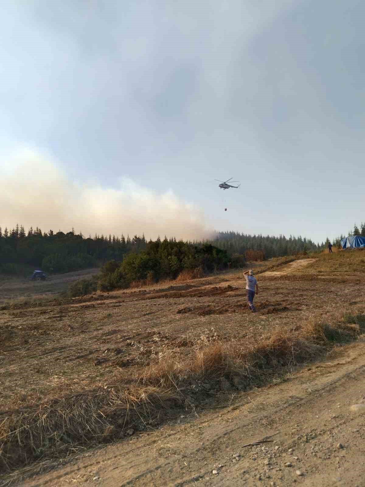 Tekirdağ’daki orman yangını balya makinasındaki kıvılcımla çıkmış