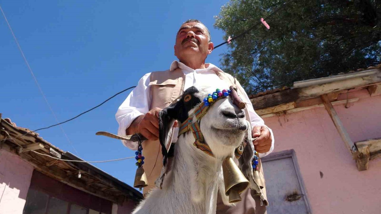 Çocukluğundan buyana biriktirdiği tongurdaklarla koleksiyon yaptı