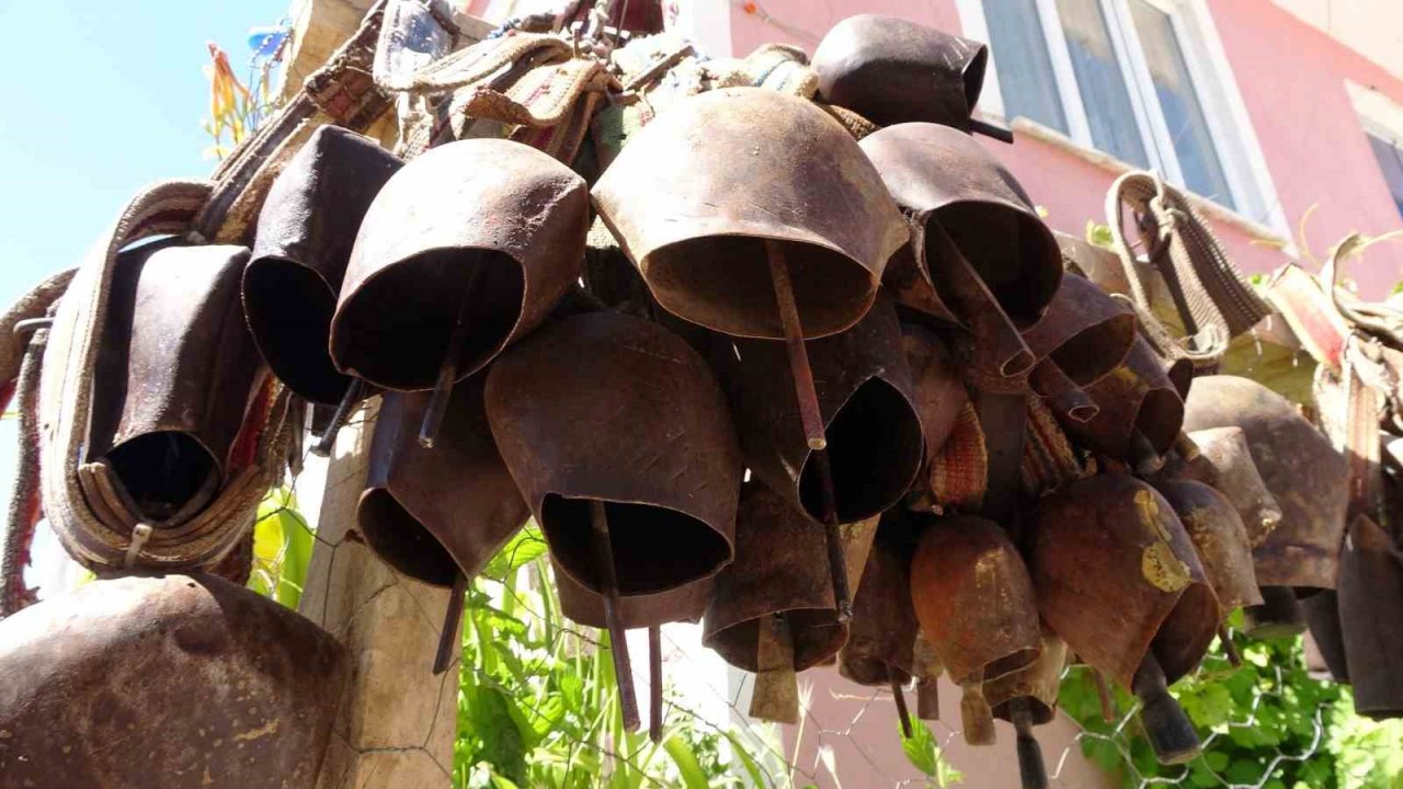 Çocukluğundan buyana biriktirdiği tongurdaklarla koleksiyon yaptı