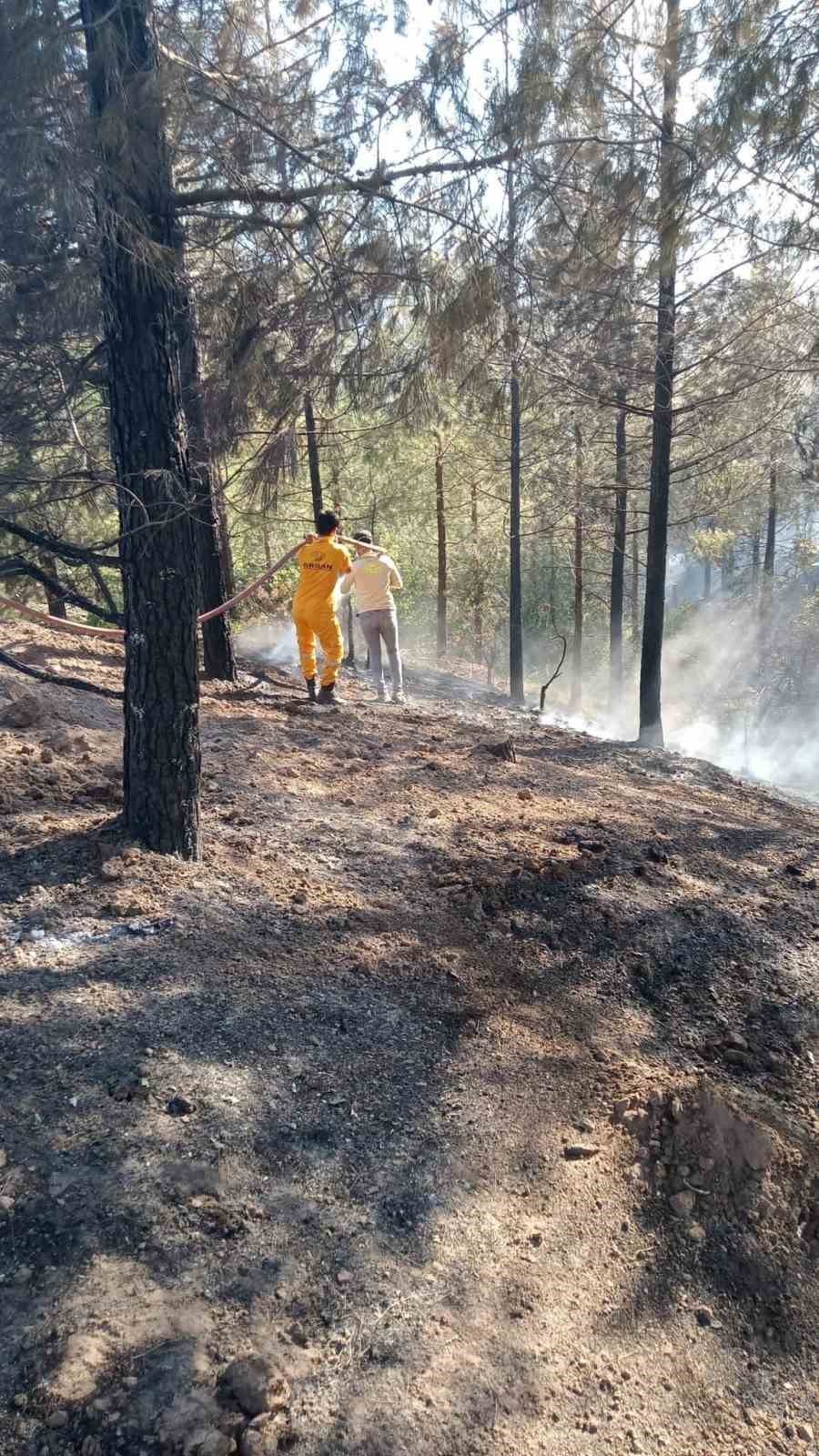 Adana’da orman yangını, büyümeden kontrol altına alındı
