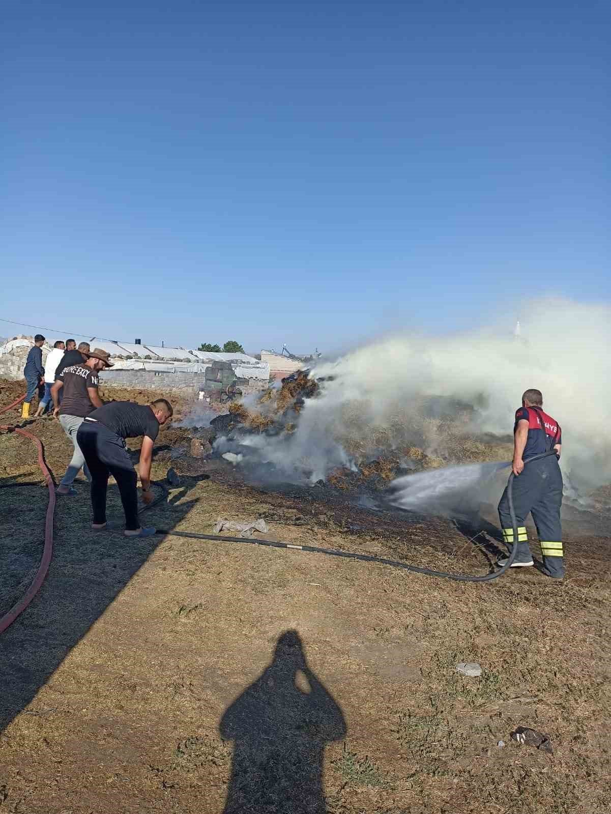 Ağrı’da bir bahçe küle döndü