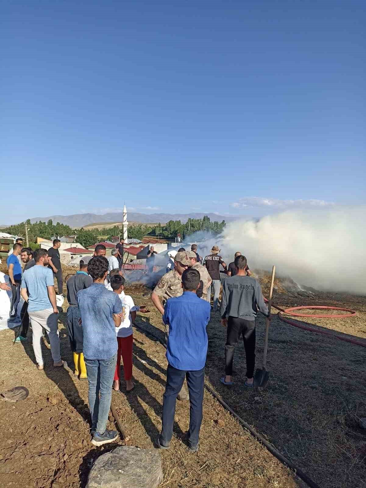 Ağrı’da bir bahçe küle döndü