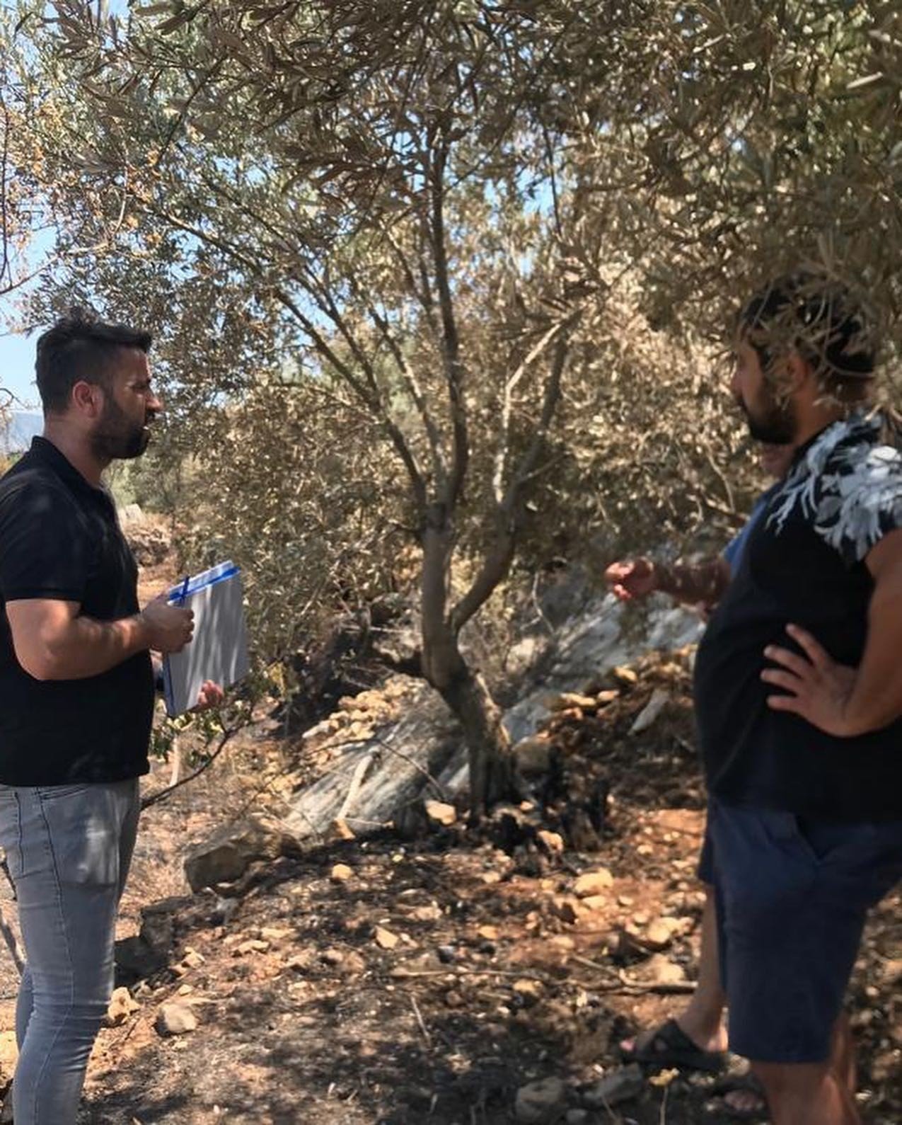 Gazipaşa İlçe Tarım fide ve fidan denetimi yaptı