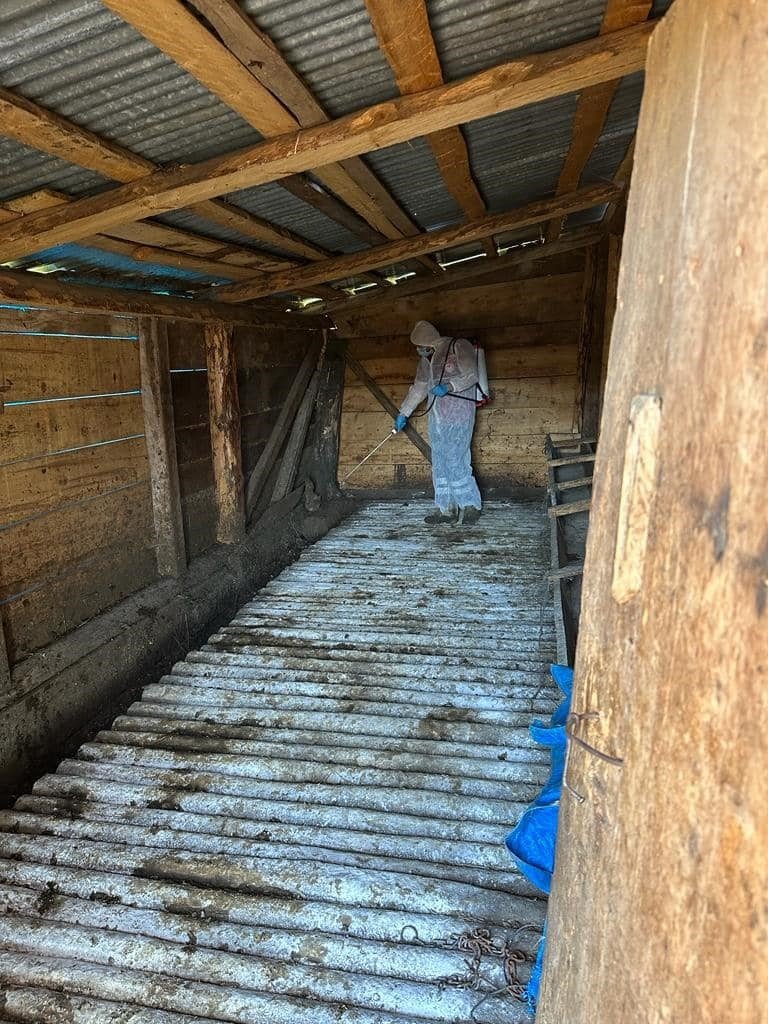 Artvin’de şap hastalığı nedeniyle 4 ilçede canlı hayvan ticaretine kısıtlama geldi