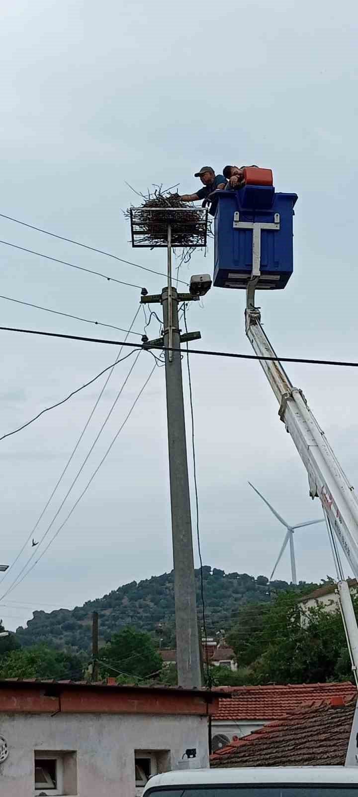 Elektrik telinden taşınan leylek yuvasındaki yavrular yumurtalardan çıktı