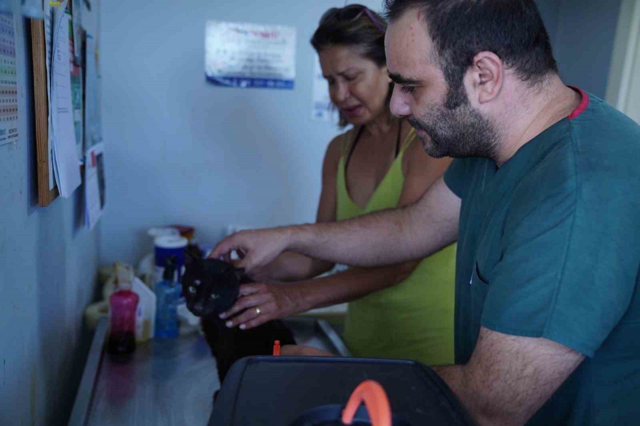 Ayvalık Belediyesi sokaktaki can dostların da yanında