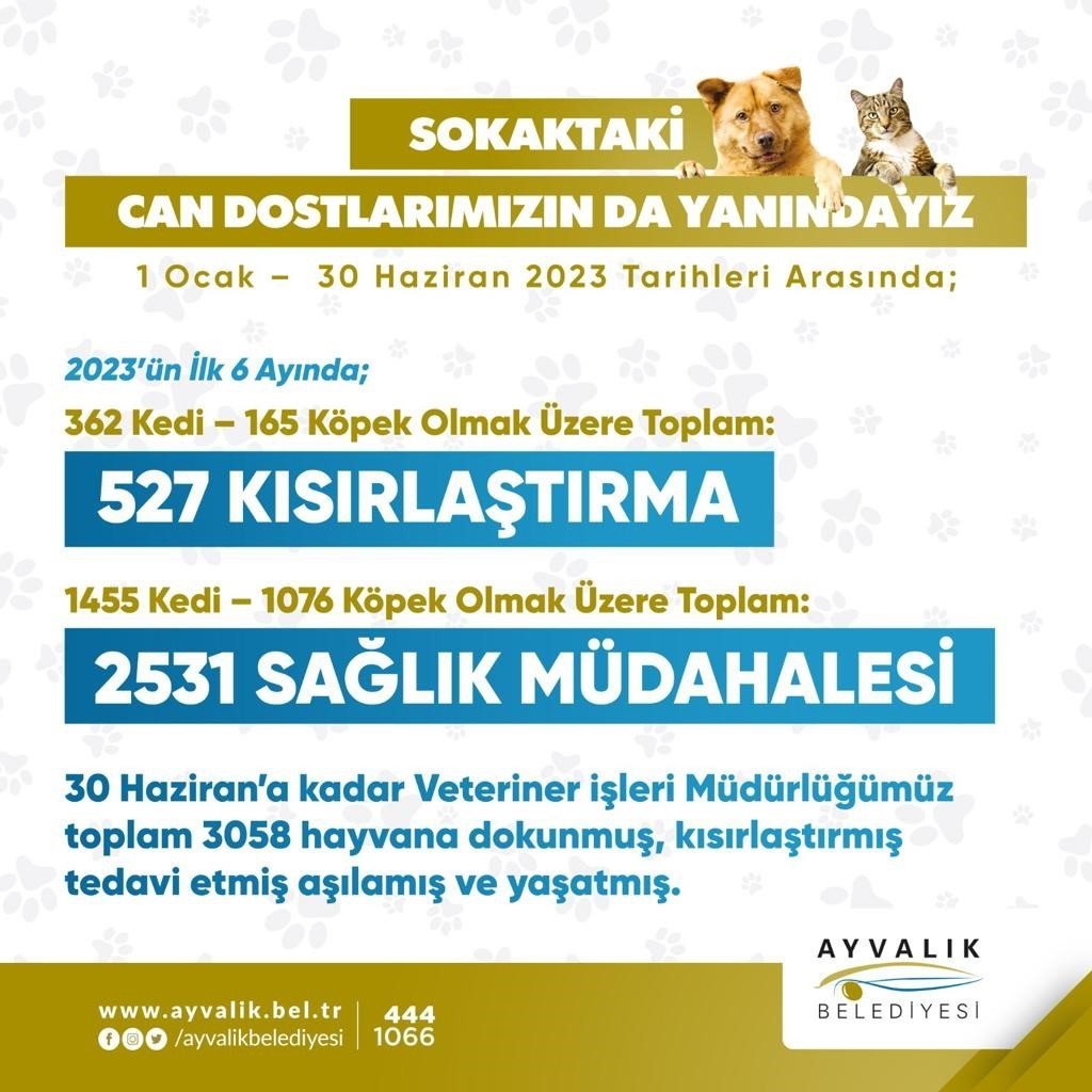 Ayvalık Belediyesi sokaktaki can dostların da yanında