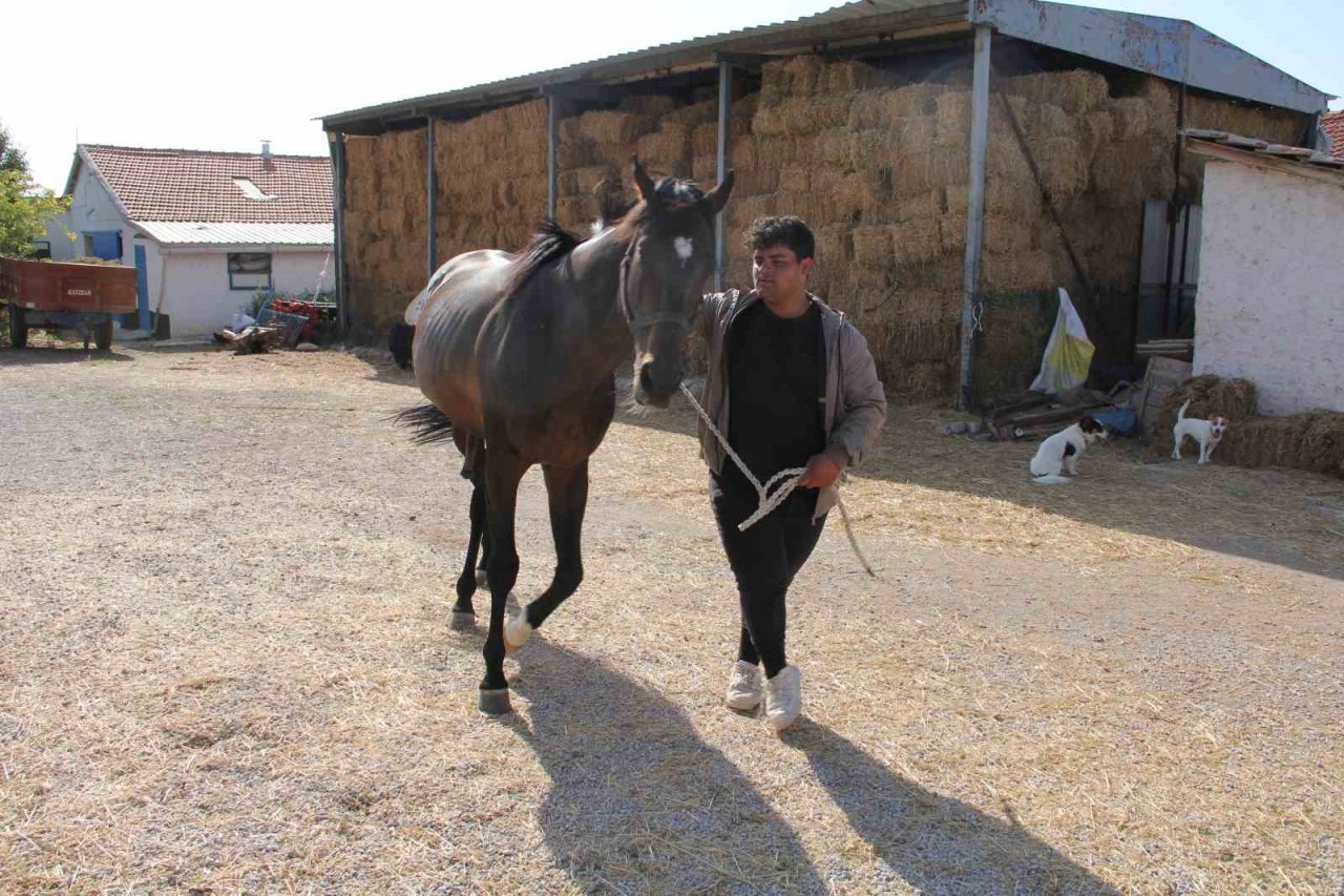 Onlarca milyonluk yatırım göz göre göre çürüyor