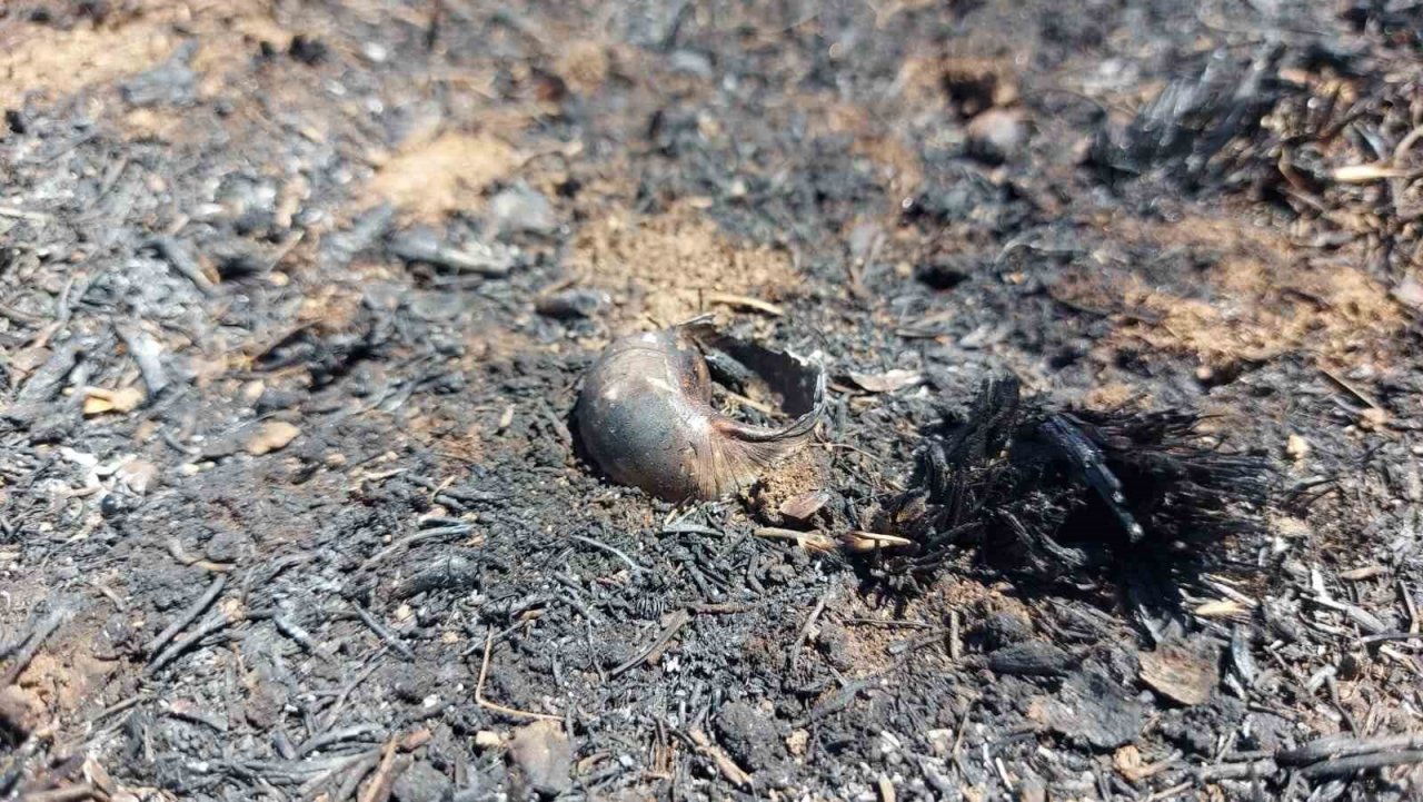 Söndürüldükçe alevleniyor