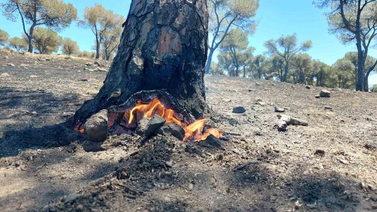 Söndürüldükçe alevleniyor