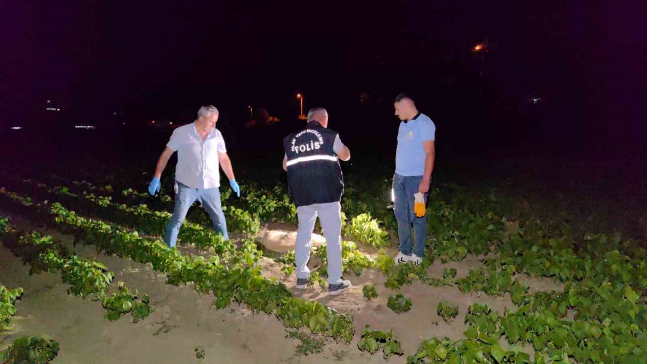 Doğum yapmış köpeği av tüfeği ile vurarak öldürdüler