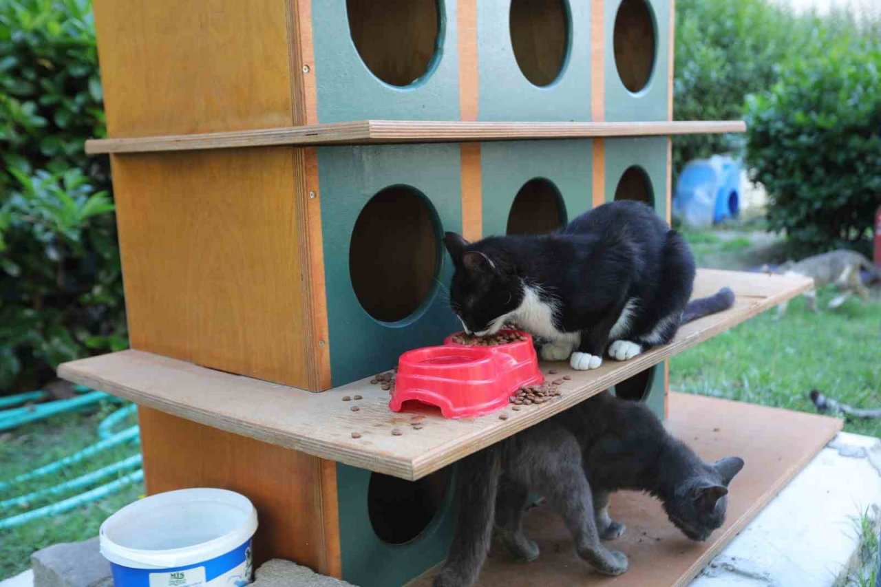 Bayraklı’da can dostlar için bir kap su kampanyası