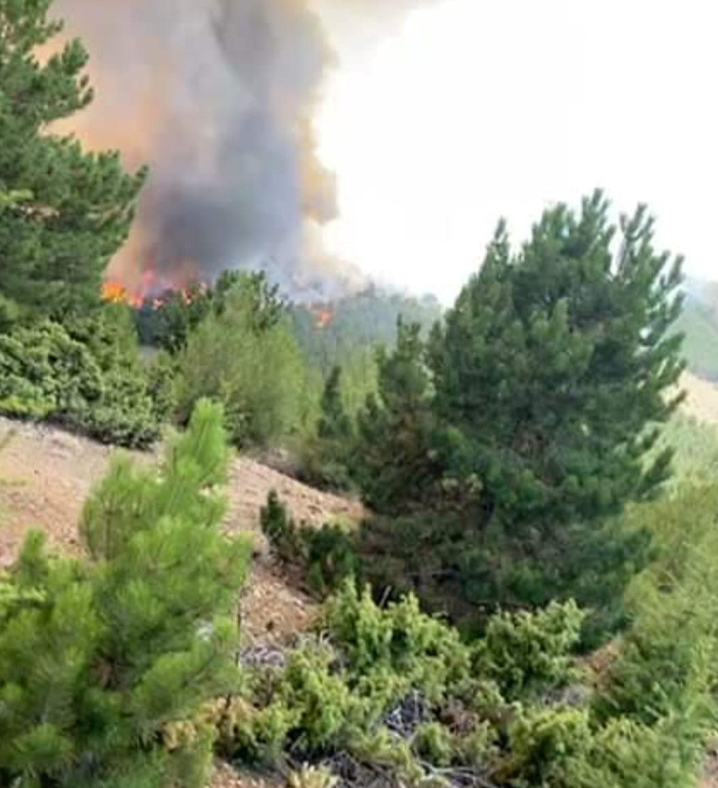 Honaz Dağında çıkan yangın büyümeden söndürüldü