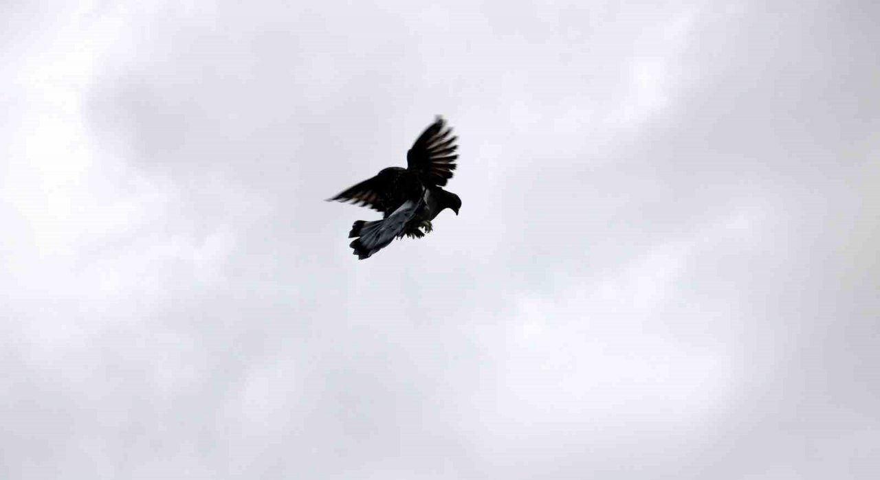 Vazgeçilmeyen bir tutku, saatlerce yanlarında bekliyorlar