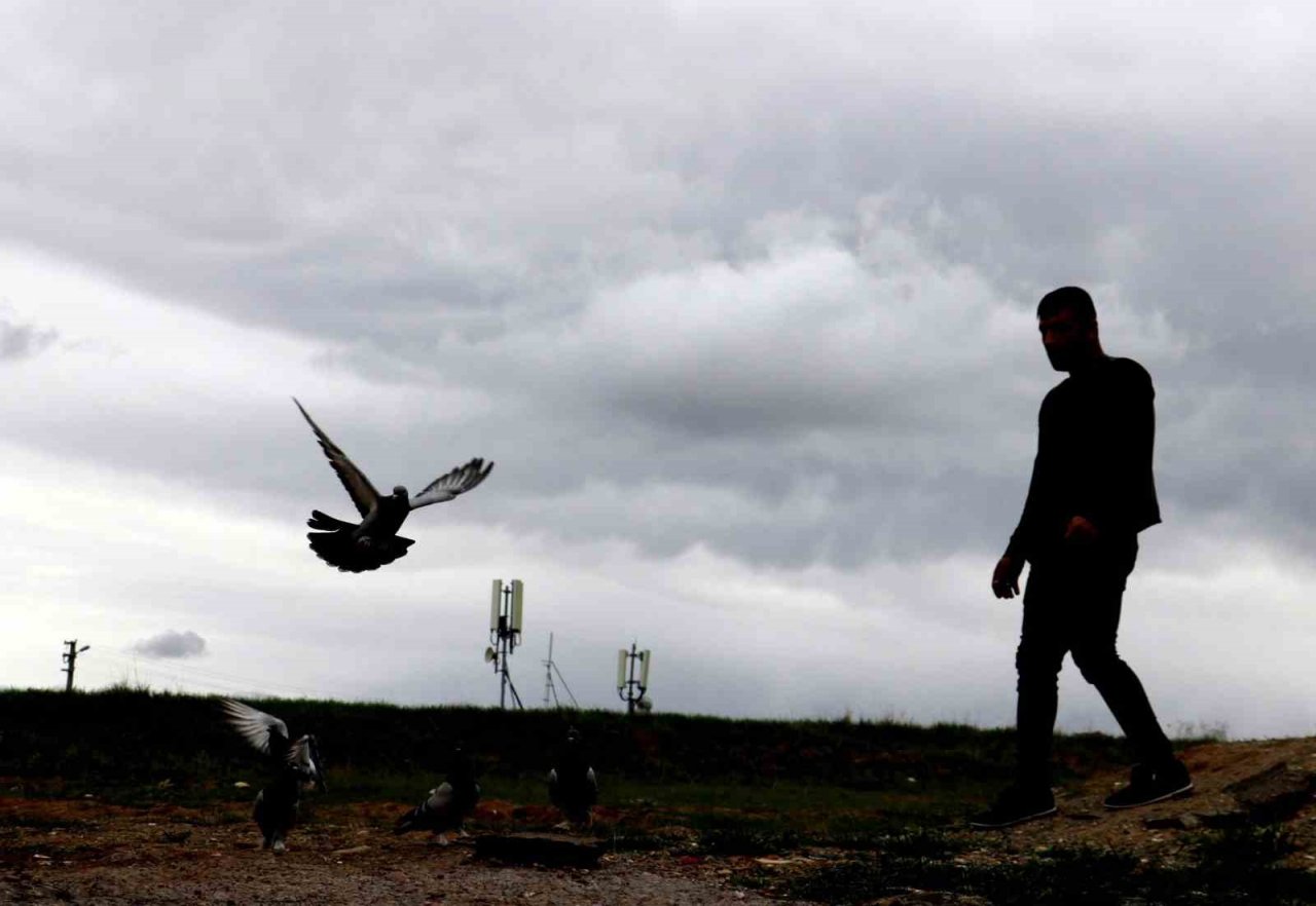 Vazgeçilmeyen bir tutku, saatlerce yanlarında bekliyorlar
