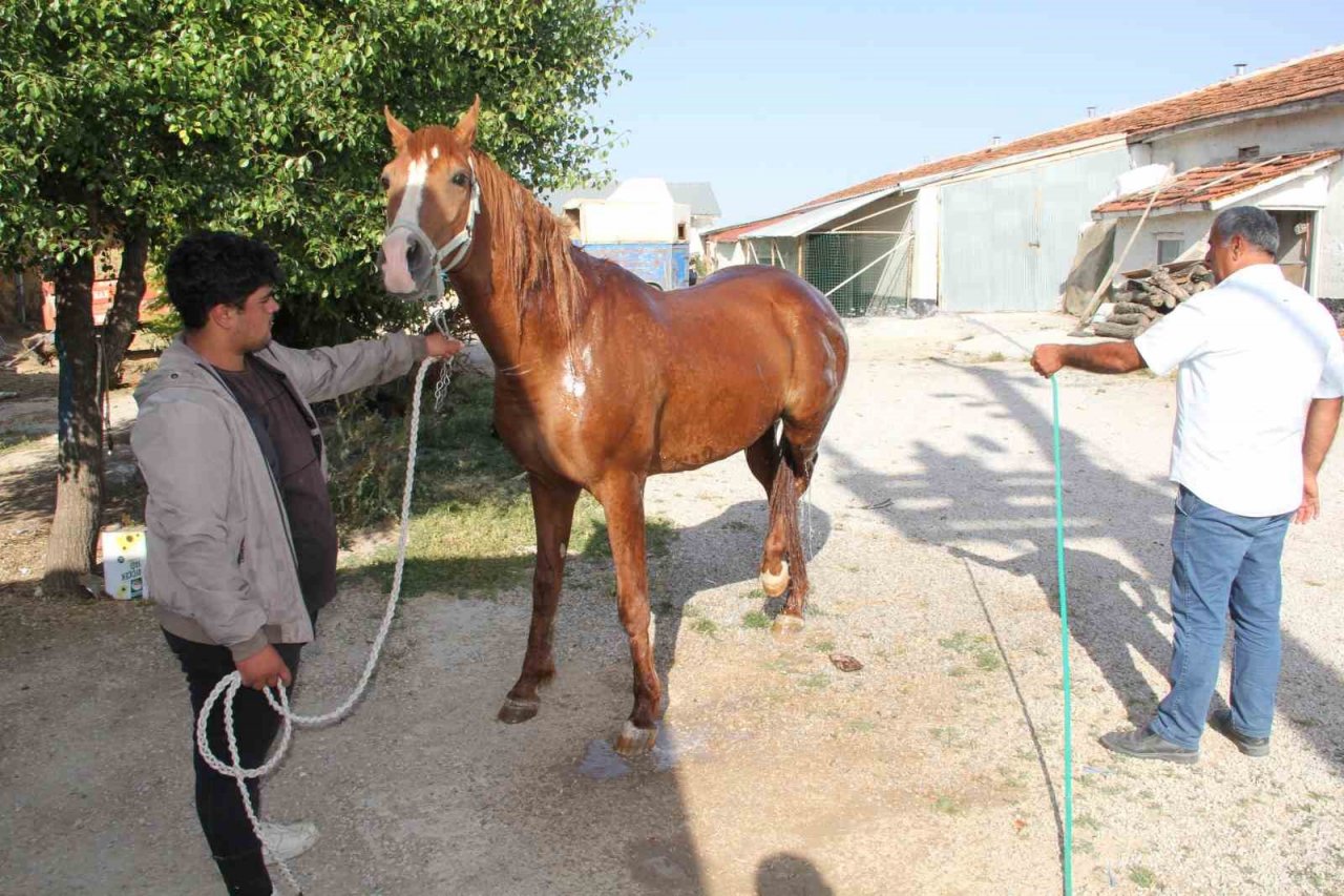 Onlarca milyonluk yatırım göz göre göre çürüyor