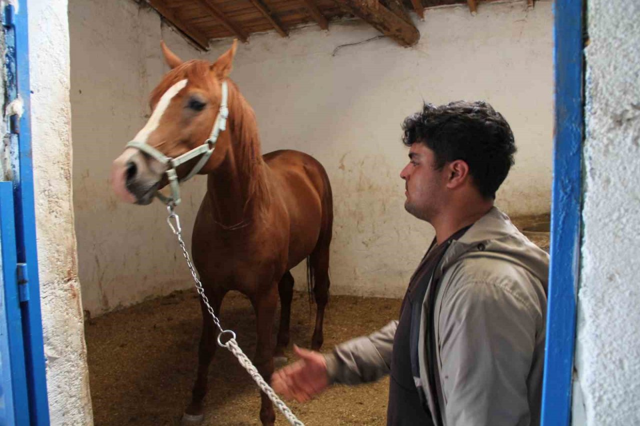 Onlarca milyonluk yatırım göz göre göre çürüyor