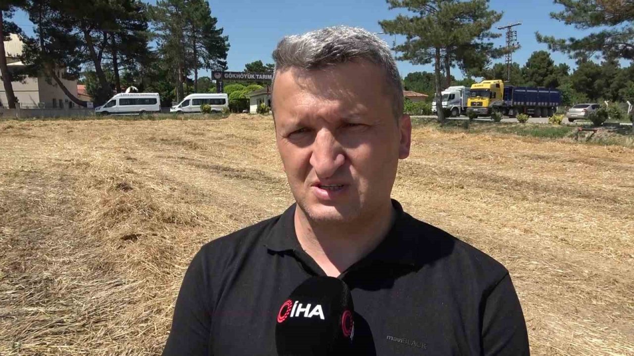 Gökhöyük’te buğday hasadı bereketli başladı: 5 bin ton üretim bekleniyor