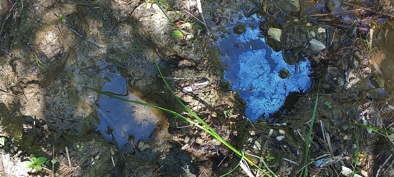 Bayburt’taki petrol sızıntılarını incelediler, petrolün yüzeye çıkarılması için çalışma başlatılmasını istediler