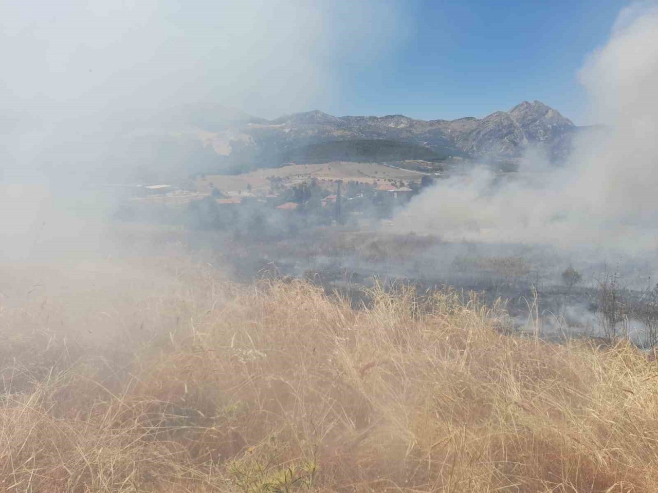 Arazide çıkan yangın ormanlık alana sıçramadan söndürüldü