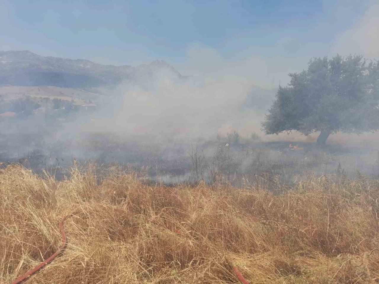 Arazide çıkan yangın ormanlık alana sıçramadan söndürüldü