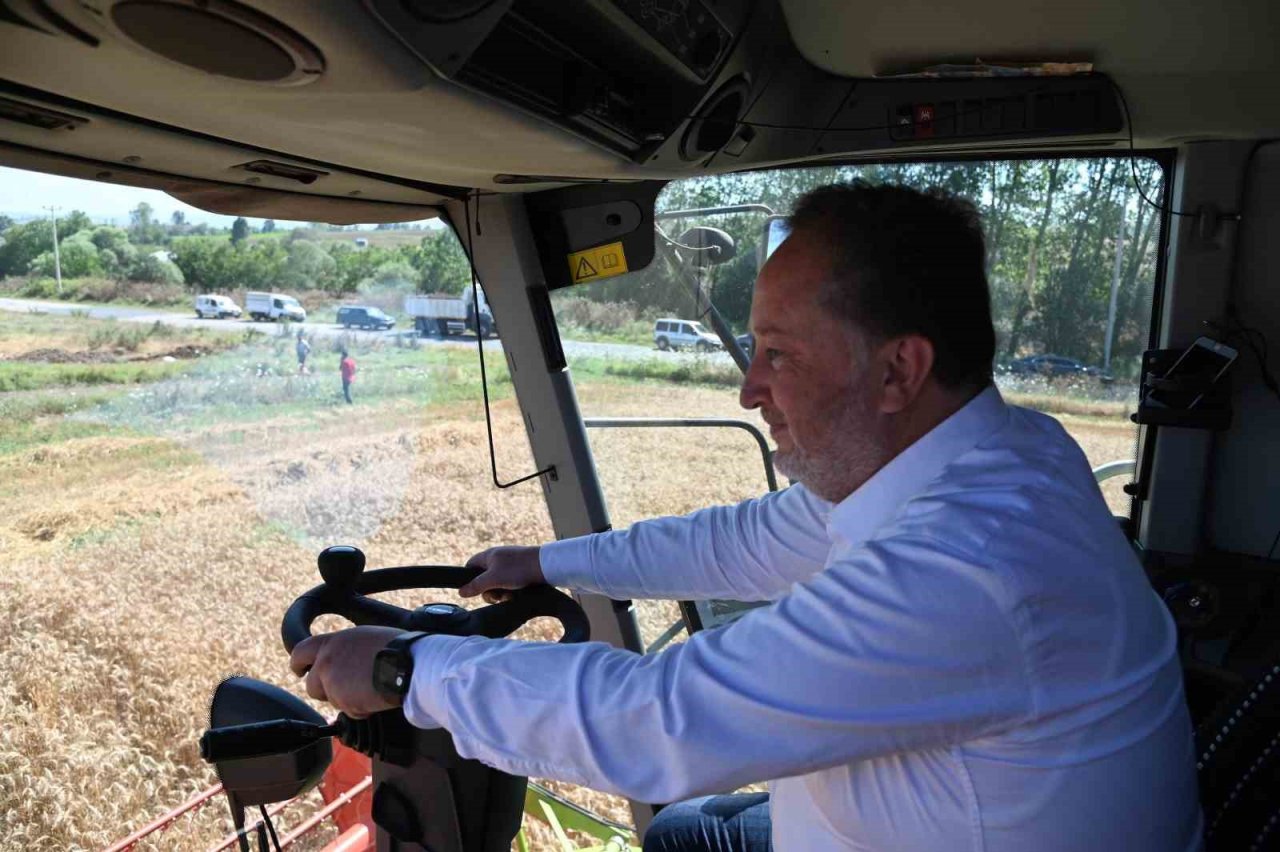 Karesi Belediyesi’nin buğdayları hasat ediliyor
