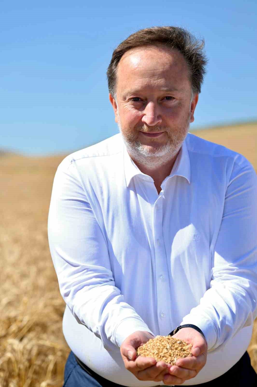 Karesi Belediyesi’nin buğdayları hasat ediliyor