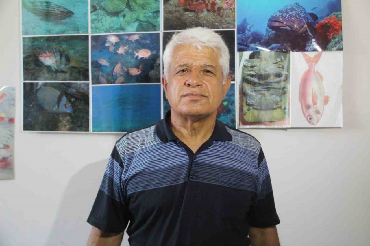 Kızıldeniz’den Akdeniz’e geçen tür sayısı 70 oldu, Karadeniz türleri tehlike altında